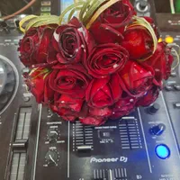 دیجی خانم.دف نوازی.تالار.