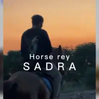 پانسیون اسب