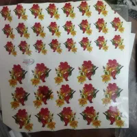 کاغذ گلاسه A4 کاغذکالک یک بسته لنزطرح دار|لوازم التحریر|اصفهان, جلوان|دیوار