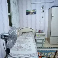 نقلی*دوخواب*سند تک برگ