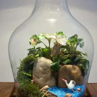 تراریوم (باغ شیشه ای) یه هدیه خاص و قشنگ