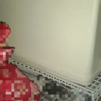 چرخ خیاطی|چرخ خیاطی و ریسندگی|رباطکریم, رباطکریم|دیوار