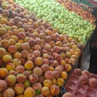 کارگر تره بار نیرو