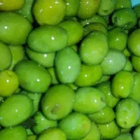 زیتون و روغن زیتون امساله|خوردنی و آشامیدنی|کلاردشت, |دیوار