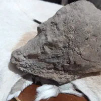 سنگ فسیل|کلکسیون اشیاء عتیقه|کرمانشاه, |دیوار