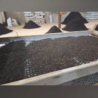 چای بهاره گیلان