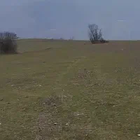 استخدام دانشجوی کشاورزی جهت کاشت درخت