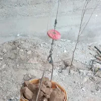 مغنی  چاه کن  چاه های آب و فاضلاب