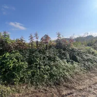 450-متر-زمین-کتشال-لوکیشن-عالی