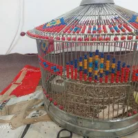 سهره خاکی