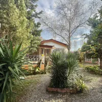 ویلاباغ-مشجر-پلاک-1-جنگل