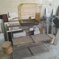 قفس پرنده ، جوجه پران