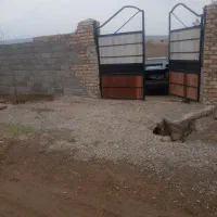 باغچه  چهار دیواری