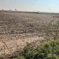 زمین ۱۱۰۰ متری در نظر آباد هشتگرد