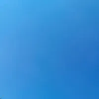 کبوتر تار کردم