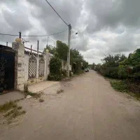 زمین۳۰۰ متری زیباکنار منطقه ازاد انزلی
