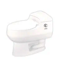 دستشویی فرنگی