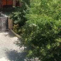 80متر-مطهری