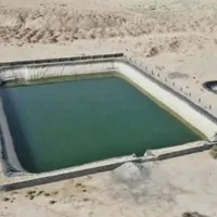 باغ با سند تک برگ