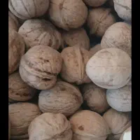 گردو ملایر تازوچرب هست