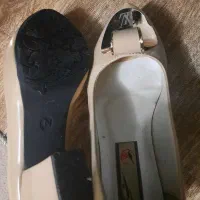 کفش مجلسی|کیف، کفش، کمربند|لنگرود, |دیوار