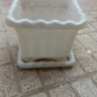 گلدان بزرگ پلاستیکی