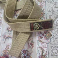 کمربند قهوه ای جودو