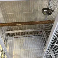 قفس مخصوص ( ارا - کاسکو- کاکادو)|لوازم جانبی حیوانات|تهران, کیانشهر|دیوار