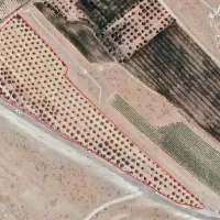 باغ یک هکتاری سمیرم مناسب گلخانه