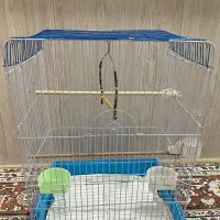 قفس پرنده