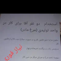 دوست|تلفن رومیزی|بناب, |دیوار