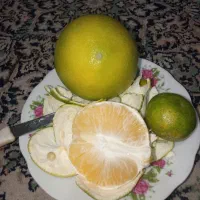 پرتقال نوبرانه خوشمزه وشیرین