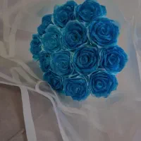 گل ربانی