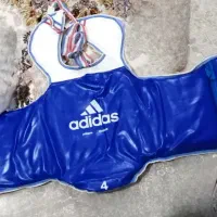 هوگو تکواندو