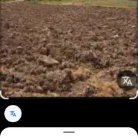 زمین کشاورزی طرح امیرالمومنین سامان