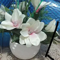 کد ۲    قیمت ۴۸۰.