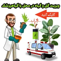 خدمات کشاورزی و فضای سبز داروخانه کلینک گیاه پزشکی|خدمات باغبانی و درختکاری|کاشان, امیرکبیر|دیوار