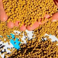 خوراک ماهی