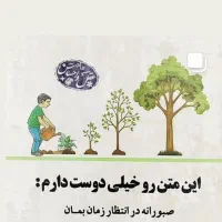 نیازمند ضامن بازاری هستم