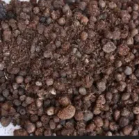 ۴۰تا کامیون کود گوسفندی خالص