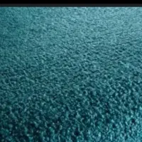 موکت پالاز  تمیز