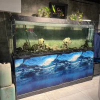 آکواریوم ۲ متری