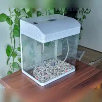 اکواریوم شیشه خم شرکتی ماهیران