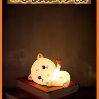 شب خواب سیلیکونی|چراغ خواب و آباژور|قرچک, پویینک|دیوار