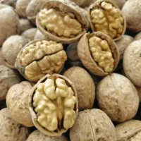گردو اصل تویسرکان