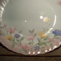 پلو خوری اصل فرانسه