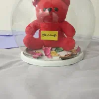 خرس ولنتاین