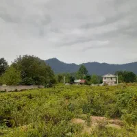 ۴۱۲متر زمین مسکونی با پروانه ساخت گیل محله تنیان|فروش زمین و ملک کلنگی|گوراب زرمیخ, |دیوار