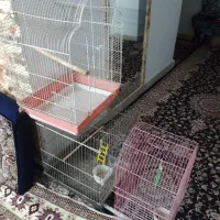 قفسه پرنده یکجا