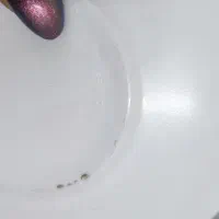 فنجان|ظروف سرو و پذیرایی|اصفهان, شمس آباد|دیوار